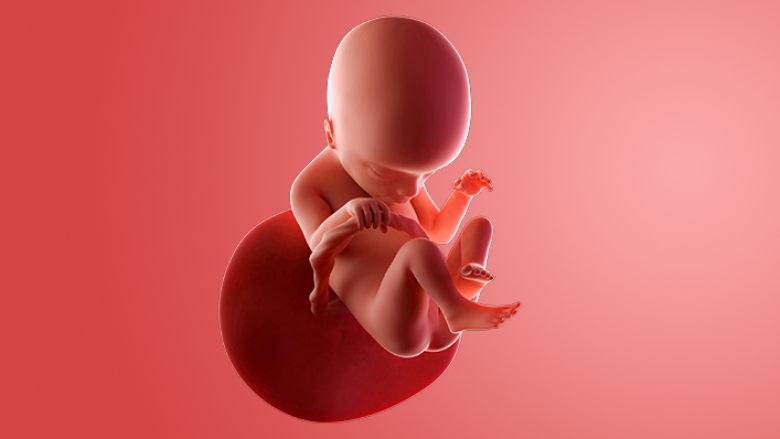 三代试管，精准筛选遗传病，让生育更无忧