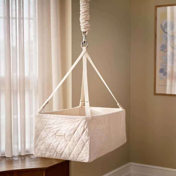 美国试管婴儿生双胞胎与单胎，价格一样吗？