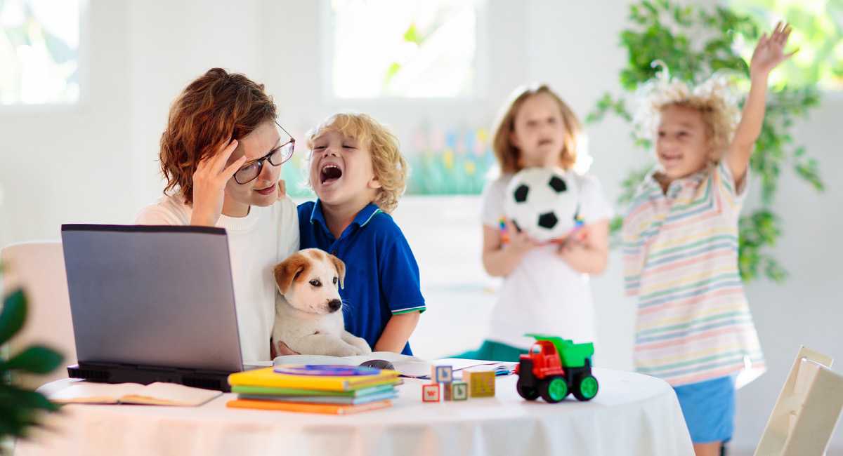 孟加拉试管婴儿多少钱