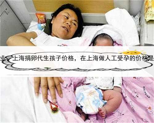 代孕中介哪里最专业，上海捐卵代生孩子价格，在上海做人工受孕的价格是多少