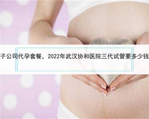 代孕的成功概率多少，武汉代孕产子公司代孕套餐，2022年武汉协和医院三代试