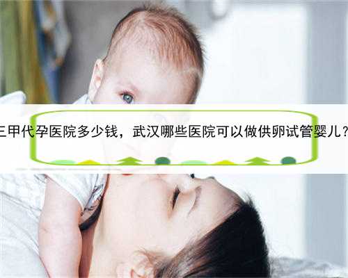 代孕什么价位，武汉三甲代孕医院多少钱，武汉哪些医院可以做供卵试管婴儿？