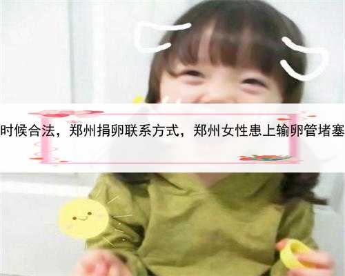 代孕什么时候合法，郑州捐卵联系方式，郑州女性患上输卵管堵塞怎么治疗